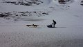 Dog sledding (22)